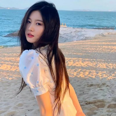 金牌间谍